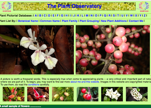 NatureLoveYou:新加坡植物数据库