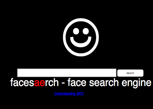 FaceSaerch:在线可视化人物搜索引擎