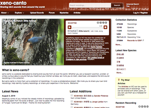XenoCanto:世界野生鸟类声音网