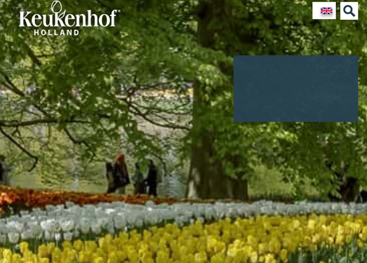 Keukenhof|荷兰库肯霍夫花园