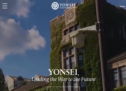 YonSei:韩国延世大学