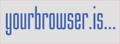 在线浏览器环境检测工具【YourBrowser】