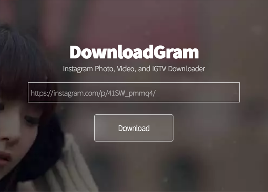 DownloadGram|在线INS资源下载工具