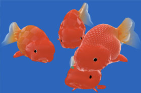 Goldfishies